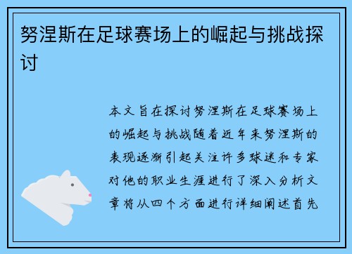 努涅斯在足球赛场上的崛起与挑战探讨