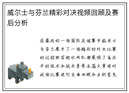 威尔士与芬兰精彩对决视频回顾及赛后分析