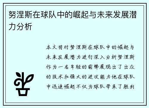 努涅斯在球队中的崛起与未来发展潜力分析
